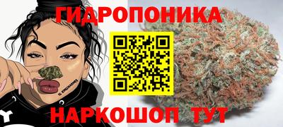 гашик Заволжье