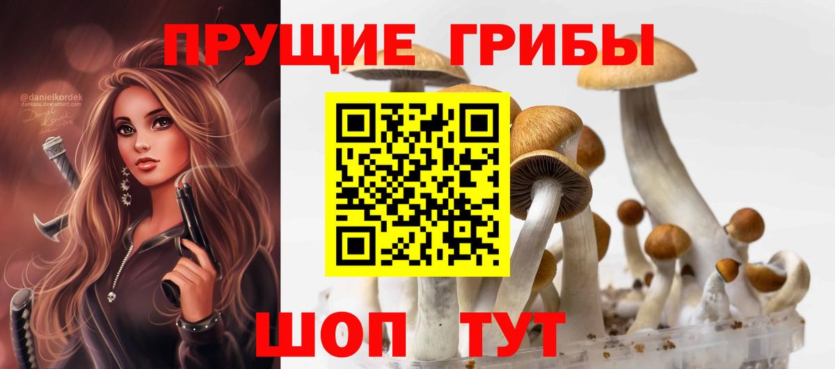 Галлюциногенные грибы мицелий Мончегорск