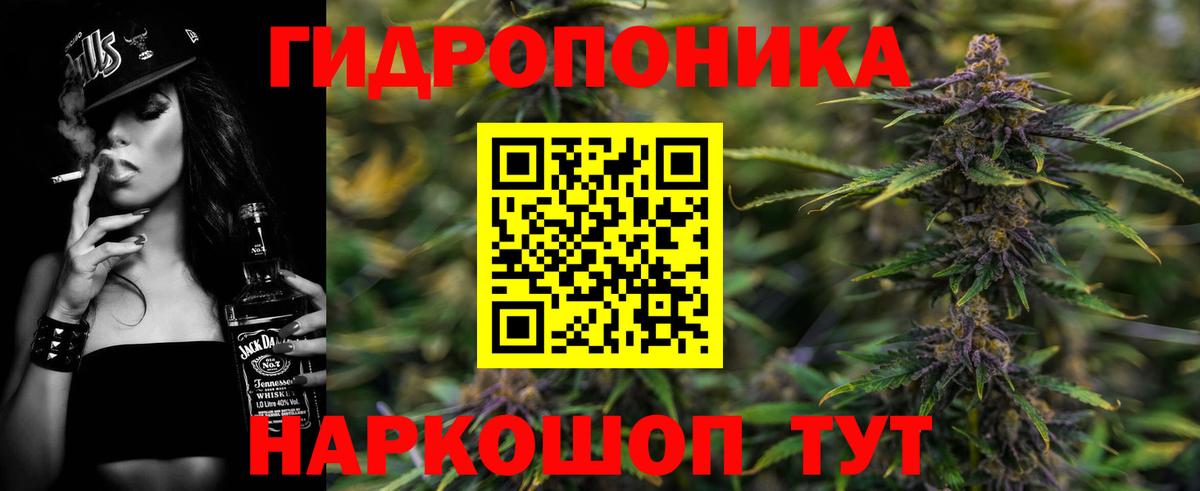 Мончегорск  Конопля гибрид  Шишки марихуана LSD WEED  Канабис THC 21%  Вход с VPN  Канабис SATIVA & INDICA 